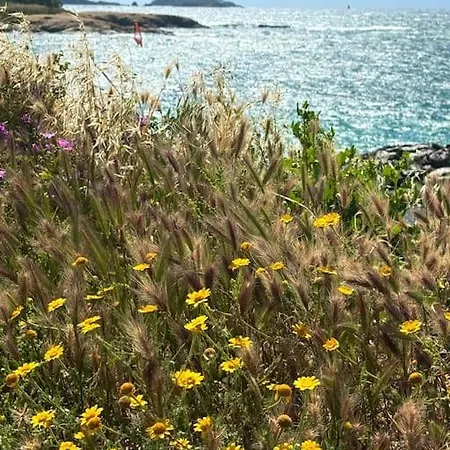 En Face Апартаменты Сис-Фур-Ле-Пляж