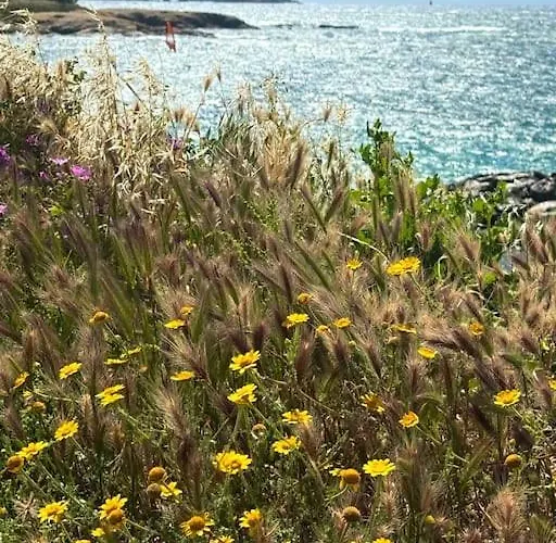 En Face Daire Six-Fours-les-Plages